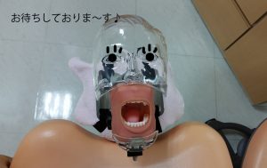 案内+